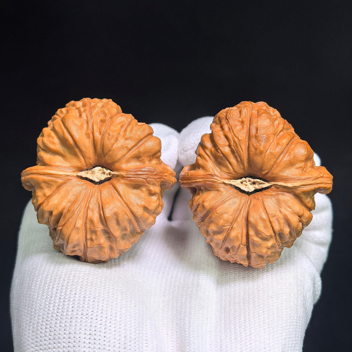 "Pumpkin Dun" Nanguadun NDG-CWB2E Wenwan Walnuts Collector Pair | 46.0mm x 50.0mm | Stock ID: NDG-CWB2E - ThePatinaProject