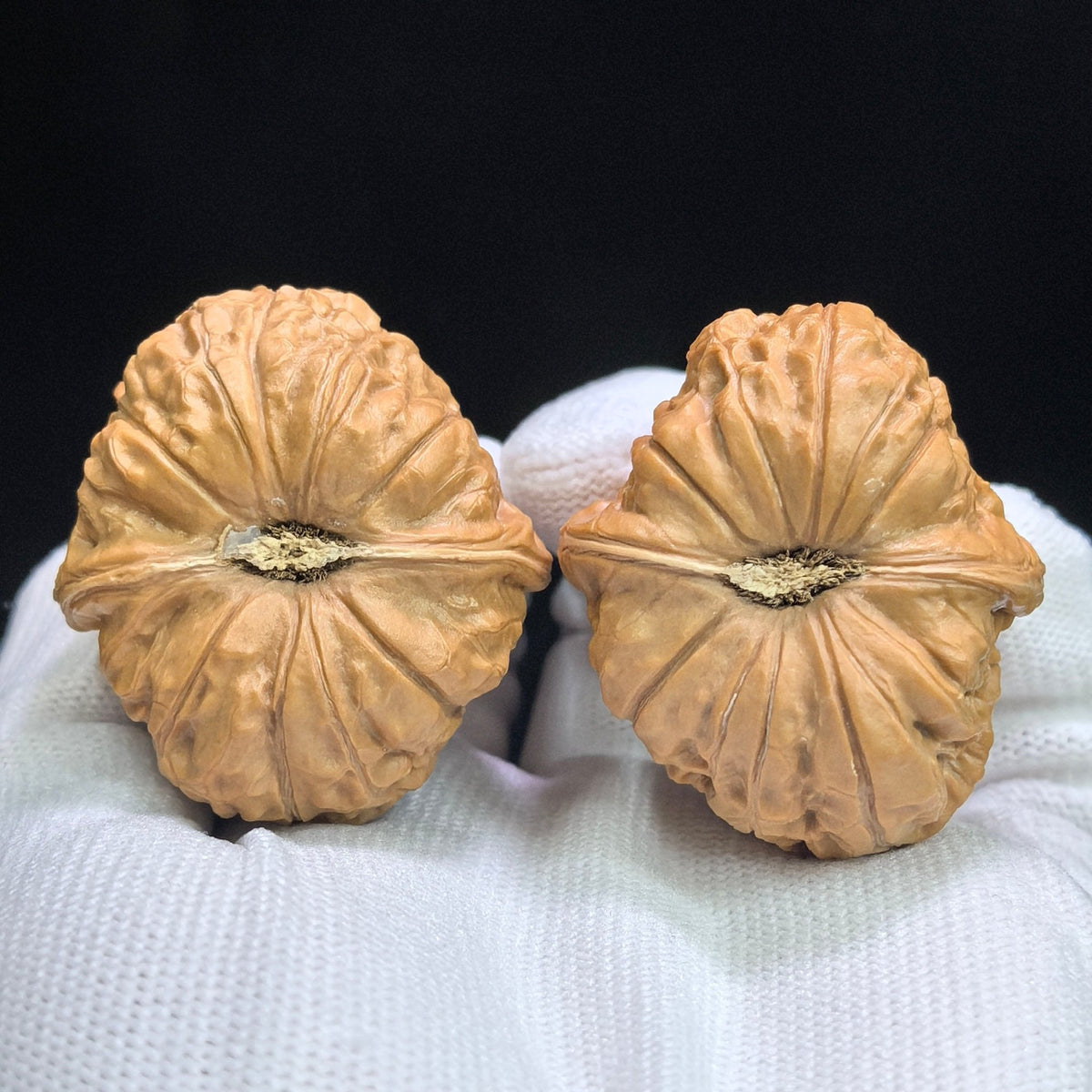 "Pumpkin Dun" Nanguadun NGD-17C7C Low-Profile Wenwan Walnuts Pair | 39.0mm x 43.0mm | NGD-17C7C - ThePatinaProject