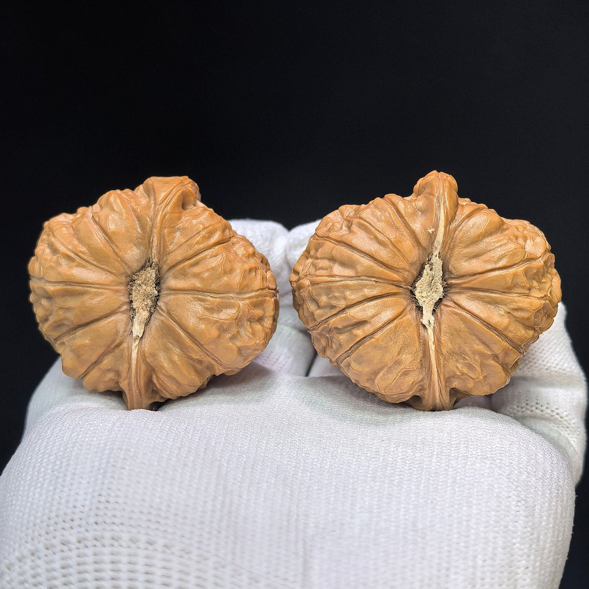 "Pumpkin Mound Vulture" Nanguadun Zuoshandiao Special Hybrid Wenwan Walnuts Pair | 42.0mm x 46.0mm | NGDZSD-C234E - ThePatinaProject