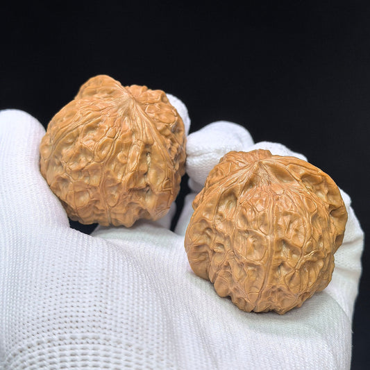 "Pumpkin Mound Vulture" Nanguadun Zuoshandiao Special Hybrid Wenwan Walnuts Pair | 42.0mm x 46.0mm | NGDZSD-C234E - ThePatinaProject