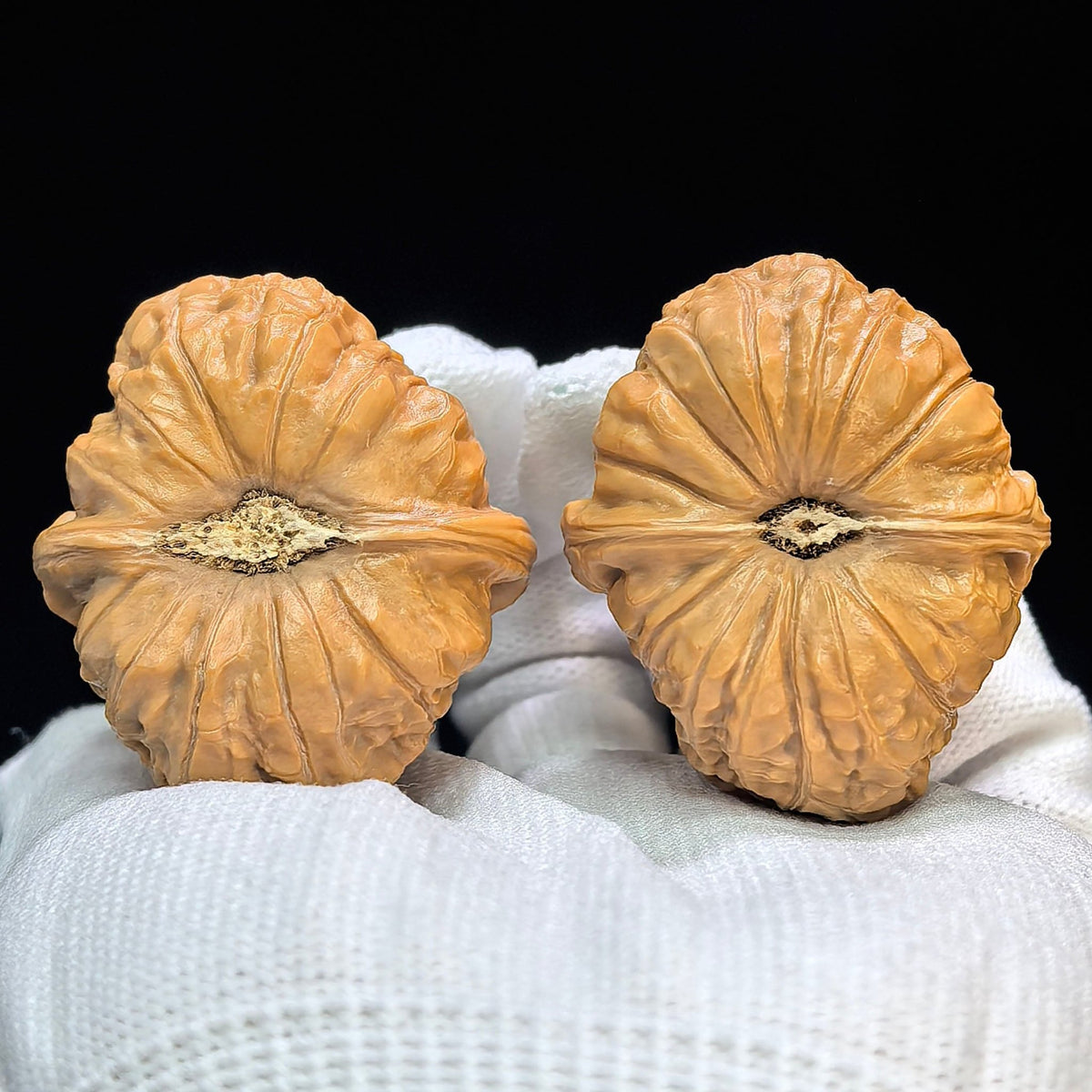 Pumpkin Mound Wenwan Walnut Pair — 38.0mm x 44.0mm | Boutique Grade | NGD-1505C - ThePatinaProject