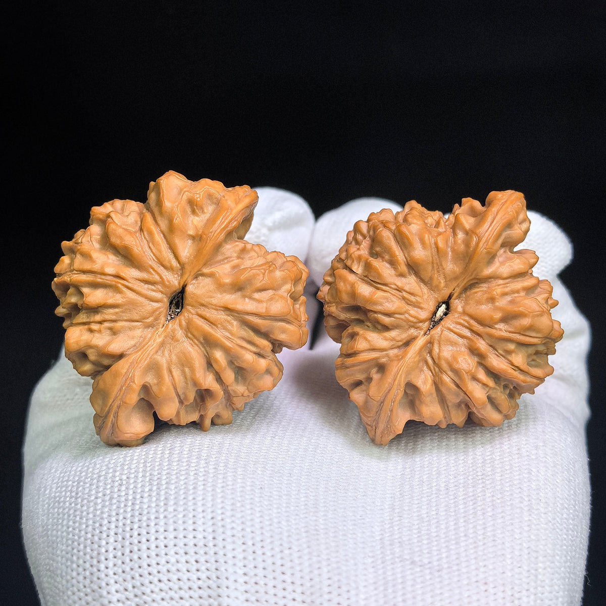 "Qilin Pattern Gourd / Fu Lu Gourds" Heirloom Collection Wenwan Walnuts Pair | 47.0mm x 42.0mm | QLHL-C1C0E - ThePatinaProject