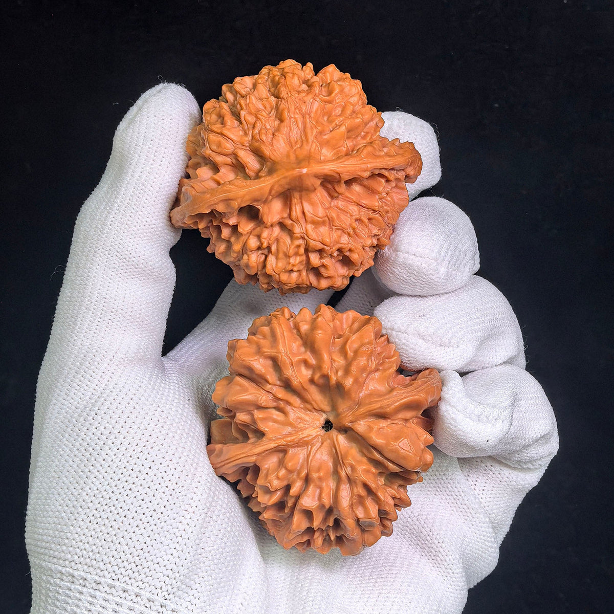 “Qilin Pattern Pantao” Broad-Bodied Wenwan Walnuts Pair | 48.0mm × 46.0mm | QLWPT-CWC1E - ThePatinaProject