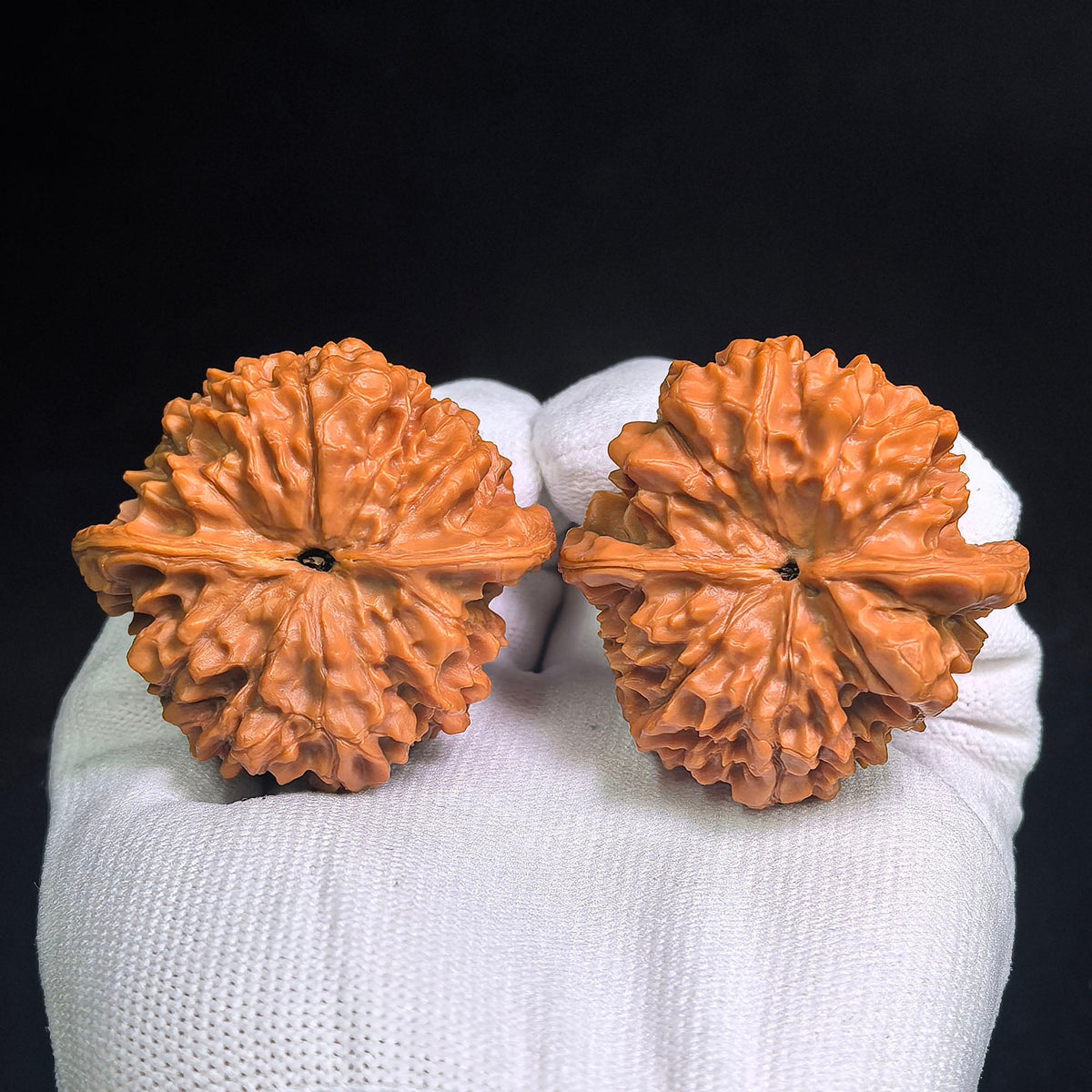 “Qilin Pattern Pantao” Broad-Bodied Wenwan Walnuts Pair | 48.0mm × 46.0mm | QLWPT-CWC1E - ThePatinaProject