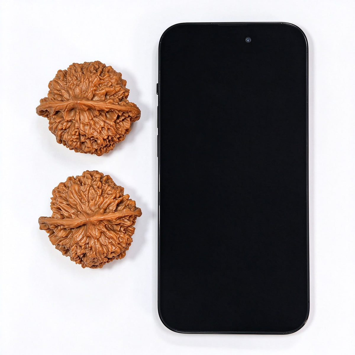 “Qilin Pattern Pantao” Broad-Bodied Wenwan Walnuts Pair | 48.0mm × 46.0mm | QLWPT-CWC1E - ThePatinaProject