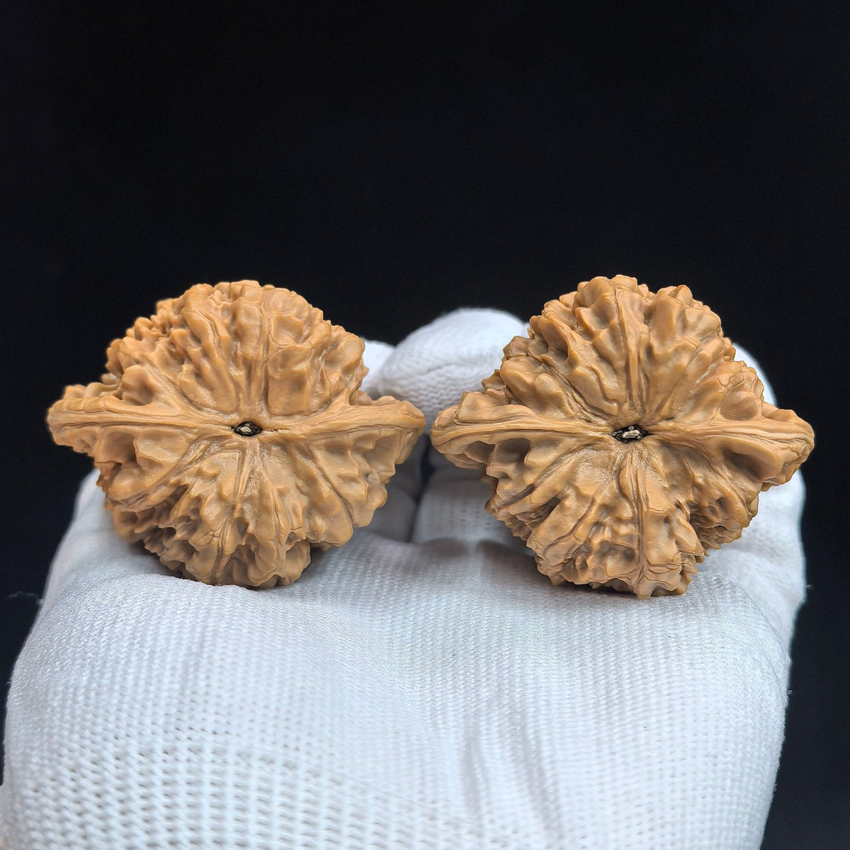 “Qilin Pattern” Peach-Heart Concave-Base Wenwan Walnut Pair | 48.0mm × 39.0mm | QLWTXBD-17G3 - ThePatinaProject
