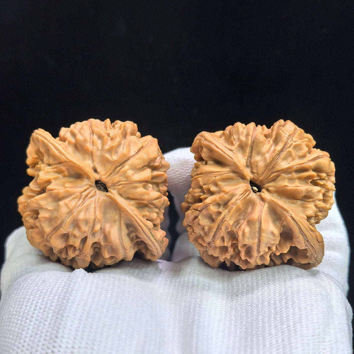 “Qilin Pattern” Qilin Wen Large Deep-Textured Wenwan Walnut Pair | 48.0mm × 44.0mm | QLW-17C9C - ThePatinaProject