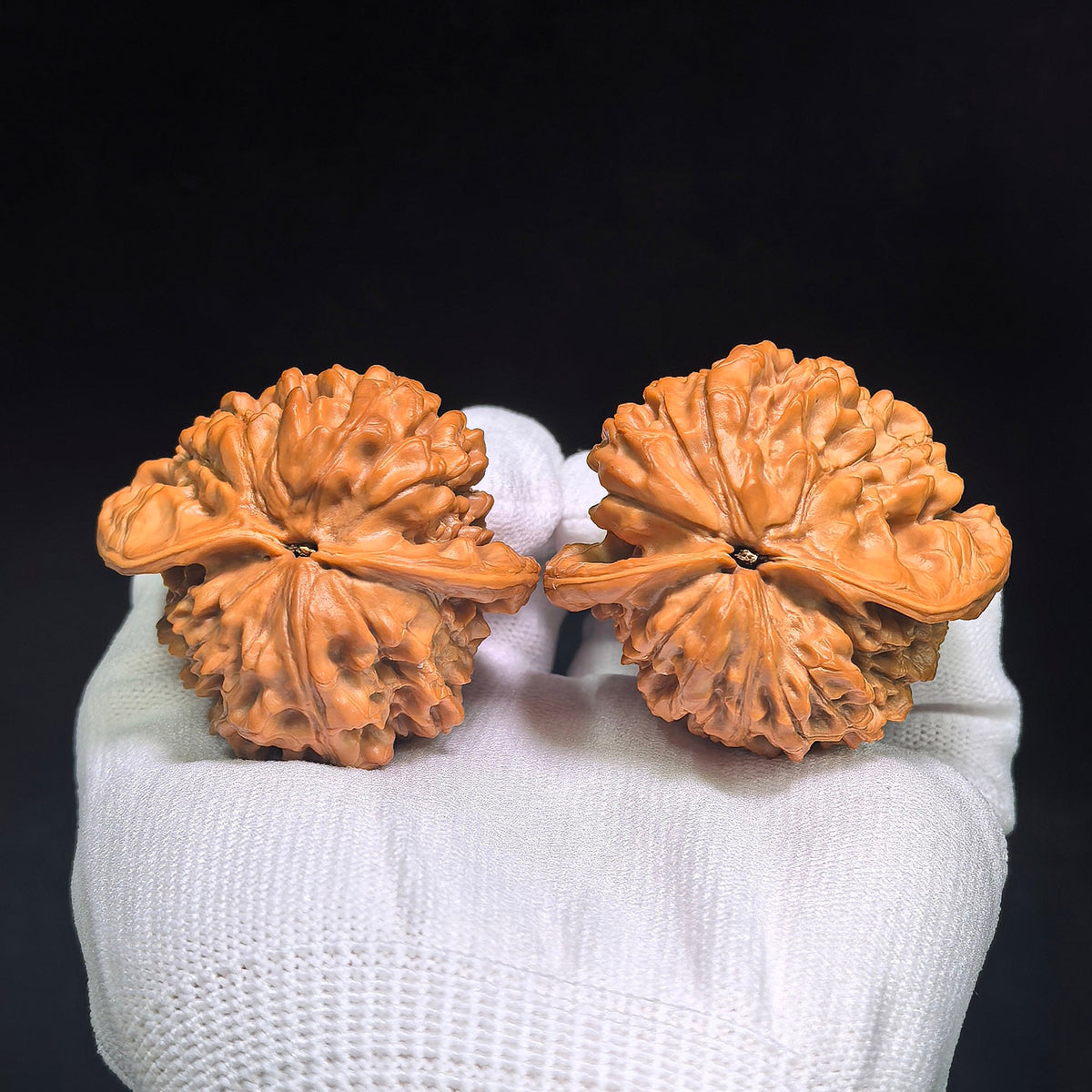 Qilin Pattern Twin-Form Wenwan Walnuts Pair | Large Sculptural Natural Form | 52.0mm × 45.0mm | QLWSBT-CWA6E - ThePatinaProject