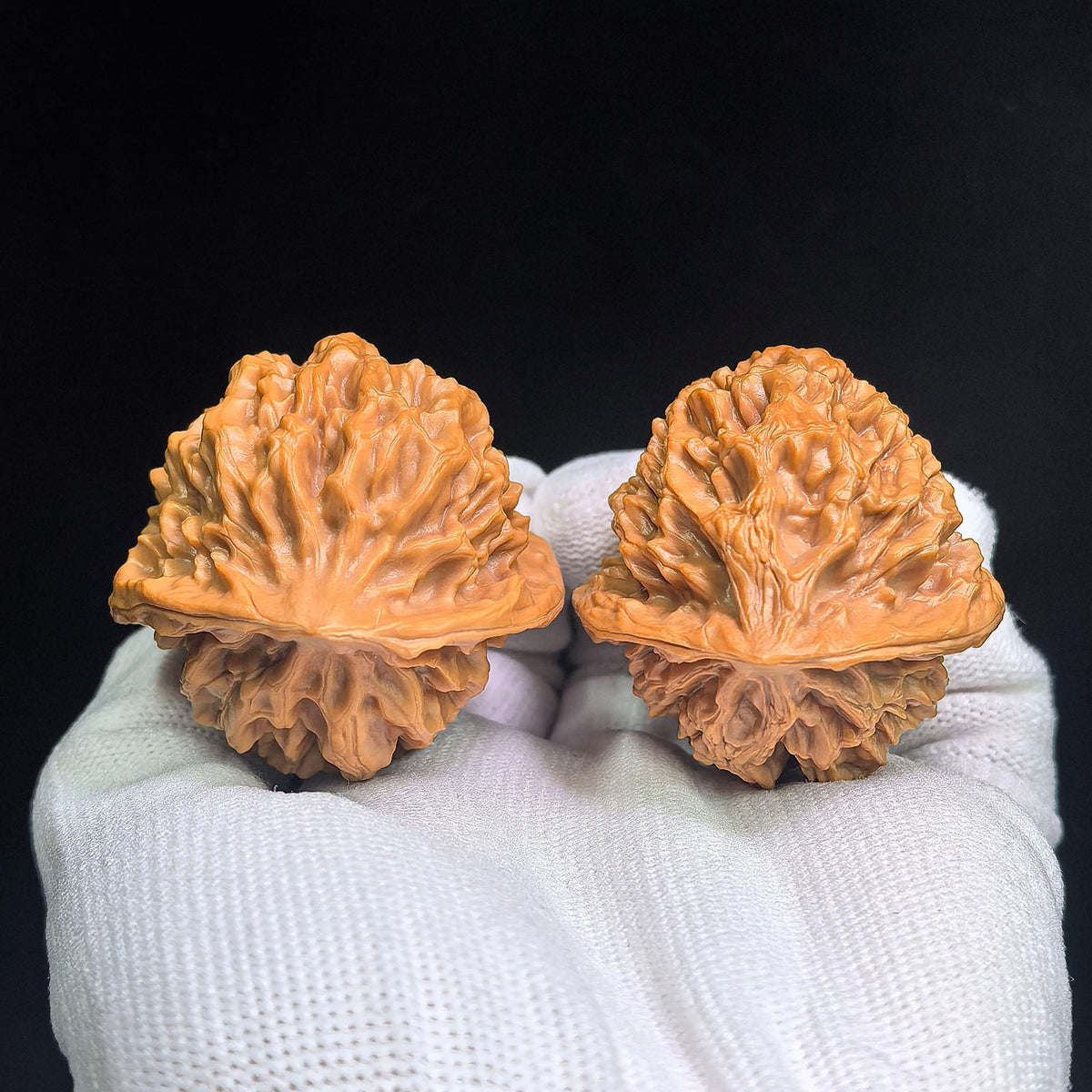 Qilin-Spined Hedgehog Wenwan Walnut Pair | 43.0mm x 43.0mm | QLCW-C1D0E - ThePatinaProject