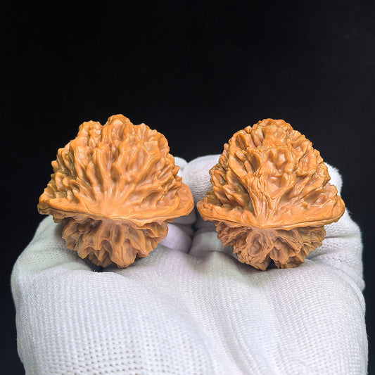 Qilin-Spined Hedgehog Wenwan Walnut Pair | 43.0mm x 43.0mm | QLCW-C1D0E - ThePatinaProject