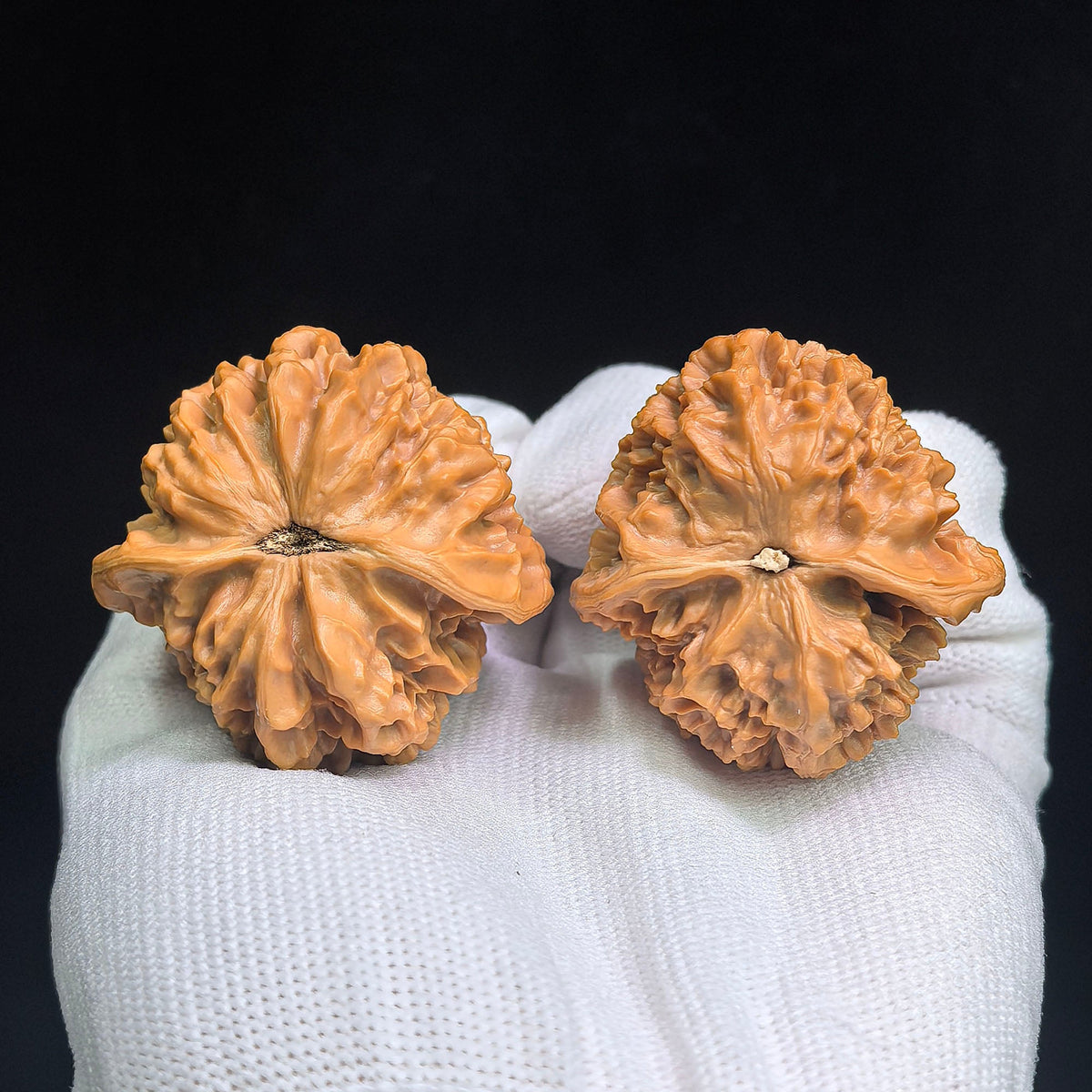 Qilin-Spined Hedgehog Wenwan Walnut Pair | 43.0mm x 43.0mm | QLCW-C1D0E - ThePatinaProject