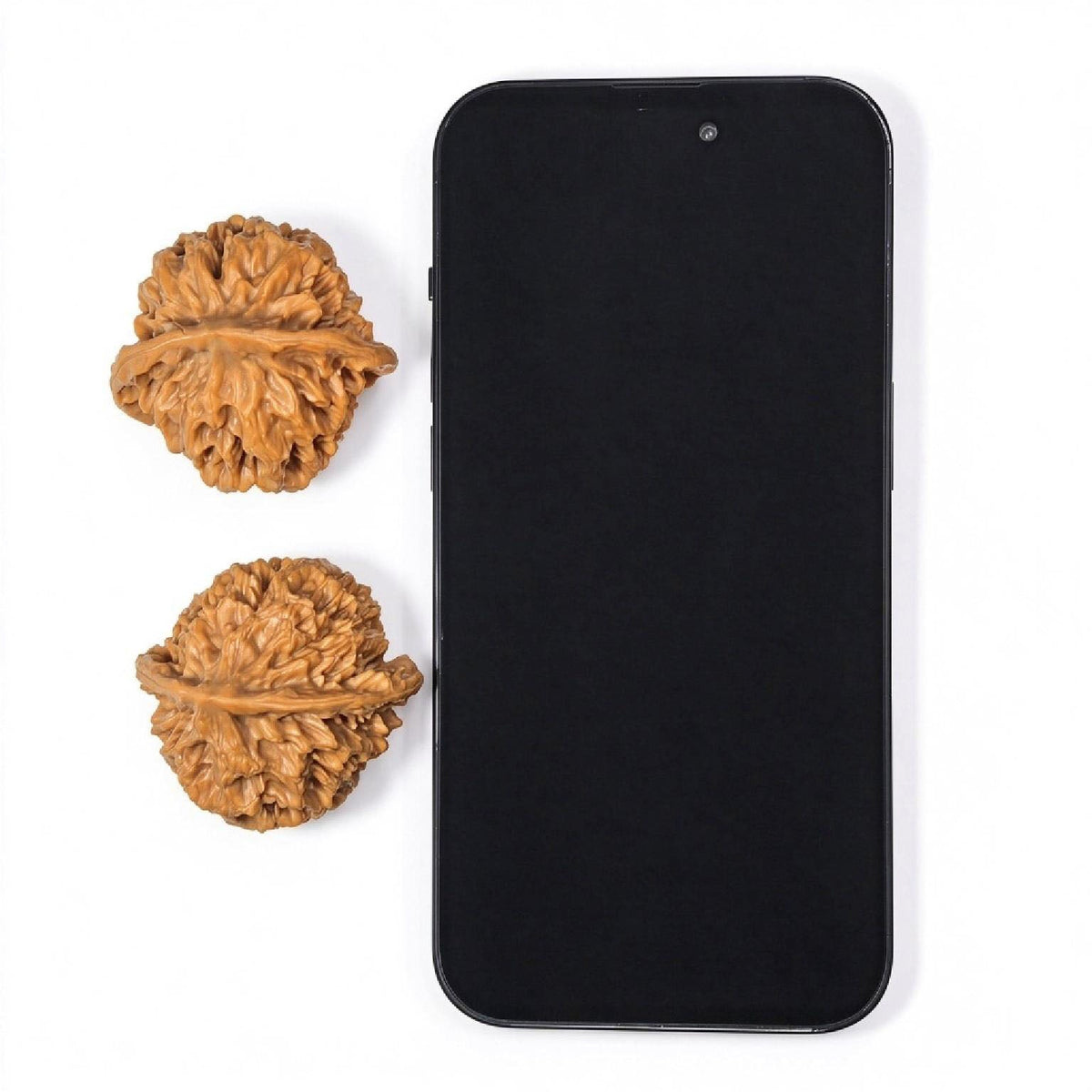 Qilin-Spined Hedgehog Wenwan Walnut Pair | 43.0mm x 43.0mm | QLCW-C1D0E - ThePatinaProject