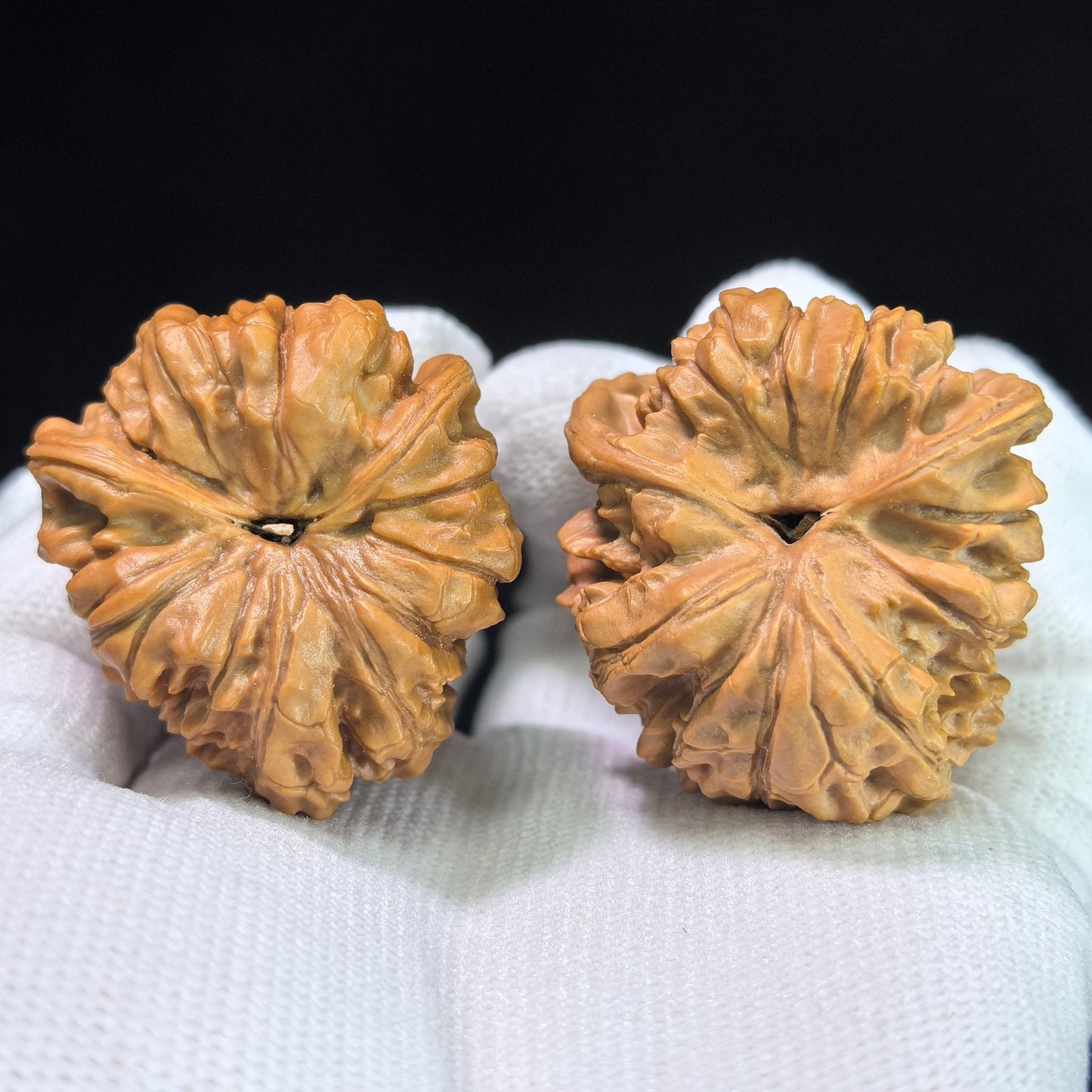 Qilinwen Zuofo (Qilin Pattern Seated Buddha) Scholar Walnuts Pair | 34.0mm x 37.0mm | Stock ID: QLWZF-401E - ThePatinaProject