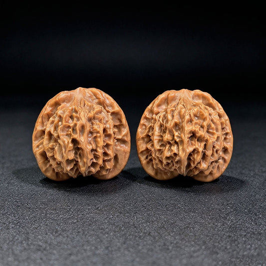 "Qin Gong Zi / Master Qin" Heirloom Collection Wenwan Walnuts Pair | 42.0mm x 39.0mm | QGZ-801 - ThePatinaProject