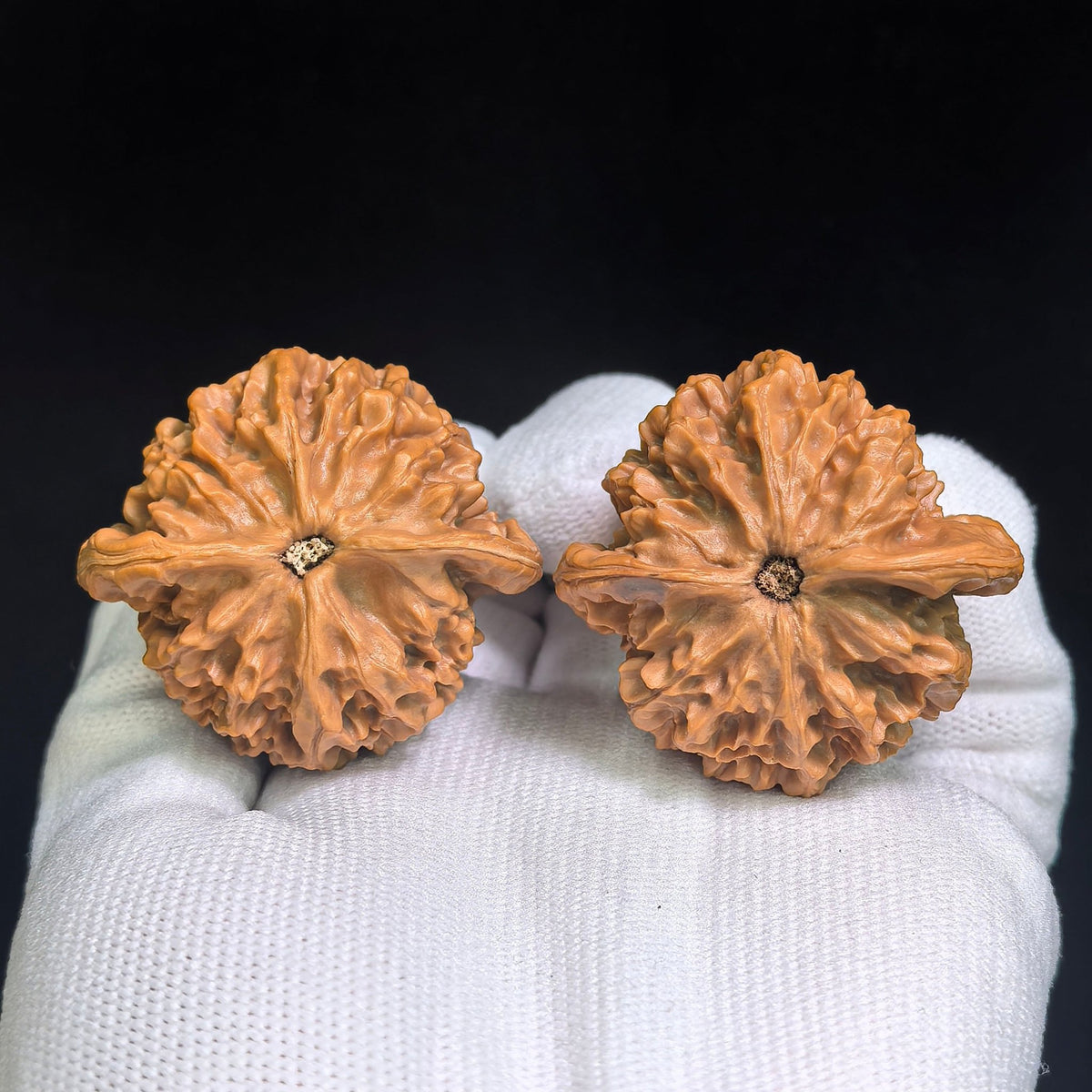 "Qin Gong Zi / Master Qin" Heirloom Collection Wenwan Walnuts Pair | 42.0mm x 39.0mm | QGZ-801 - ThePatinaProject