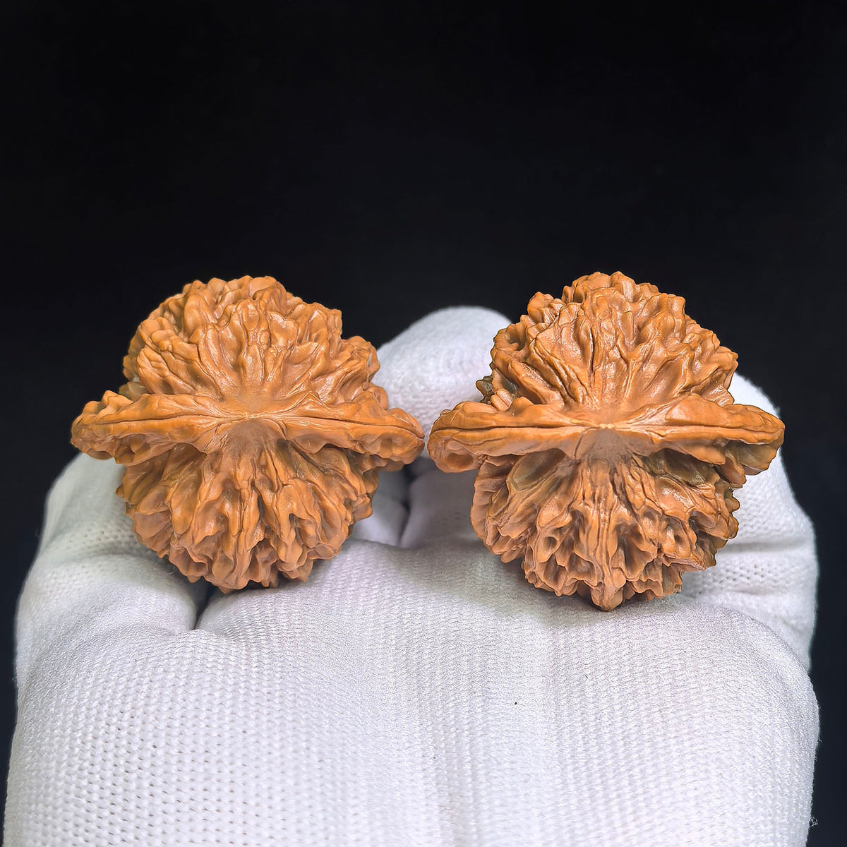 "Qin Gong Zi / Master Qin" Heirloom Collection Wenwan Walnuts Pair | 42.0mm x 39.0mm | QGZ-801 - ThePatinaProject
