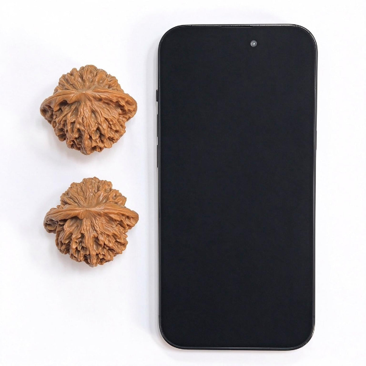 "Qin Gong Zi / Master Qin" Heirloom Collection Wenwan Walnuts Pair | 42.0mm x 39.0mm | QGZ-801 - ThePatinaProject