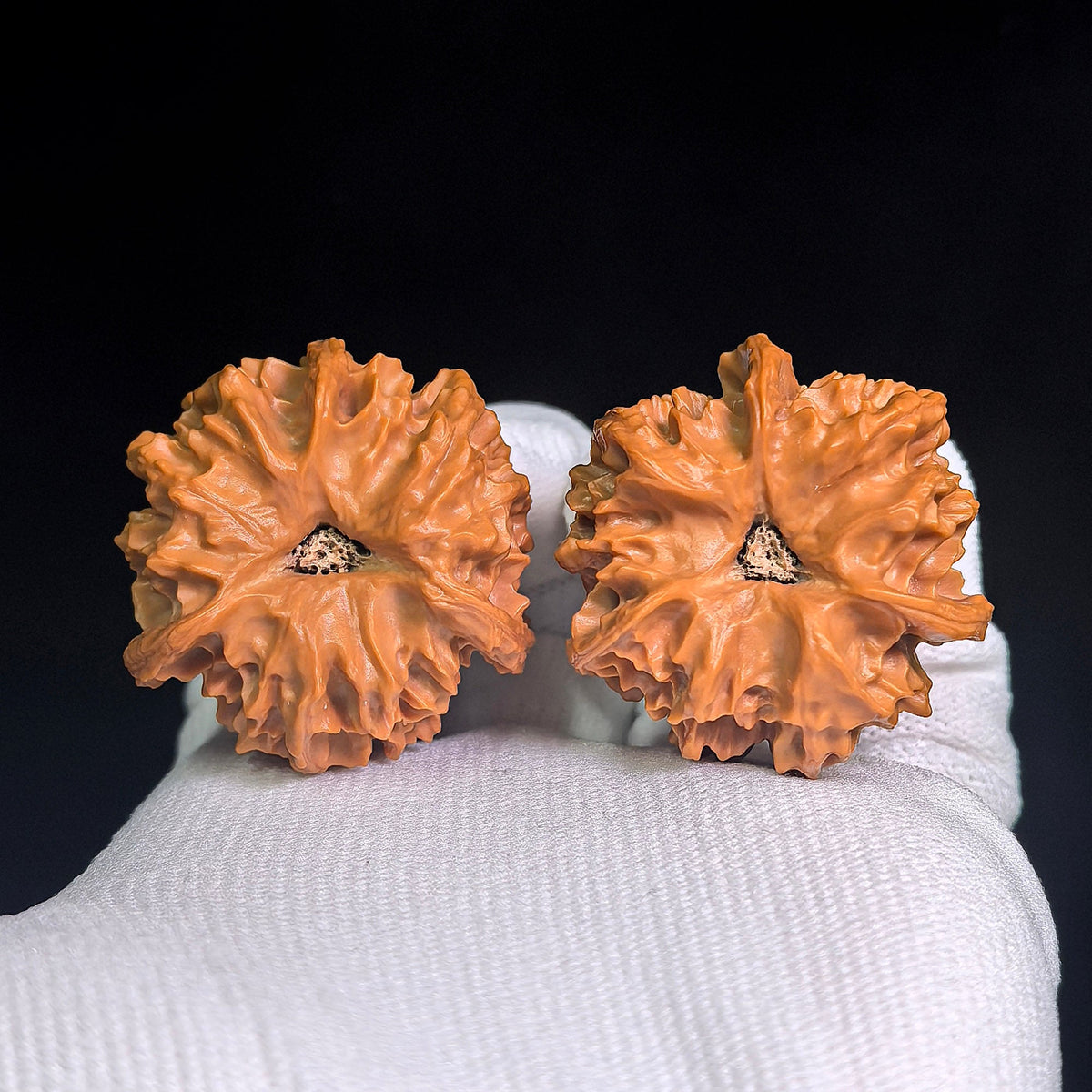 “Qishan Three-Ridge Zhengben” Wine-Cup Concave-Base Wenwan Walnuts Pair | 37.0mm × 37.0mm | QSSN-CWC0E - ThePatinaProject