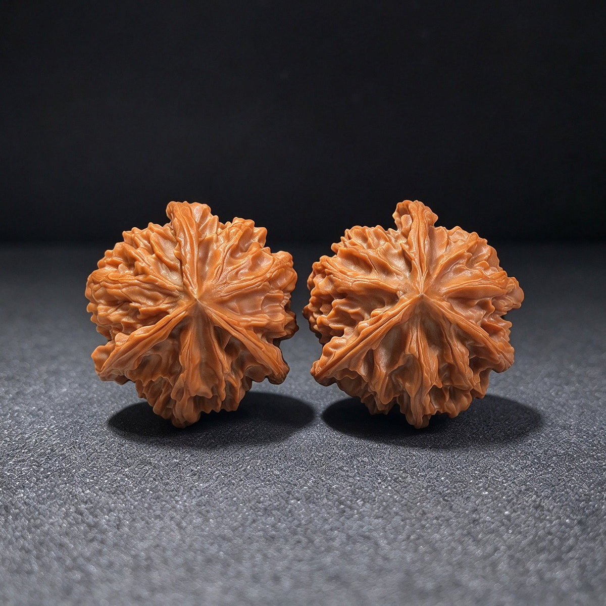 “Qishan Three-Ridge Zhengben” Wine-Cup Concave-Base Wenwan Walnuts Pair | 37.0mm × 37.0mm | QSSN-CWC0E - ThePatinaProject