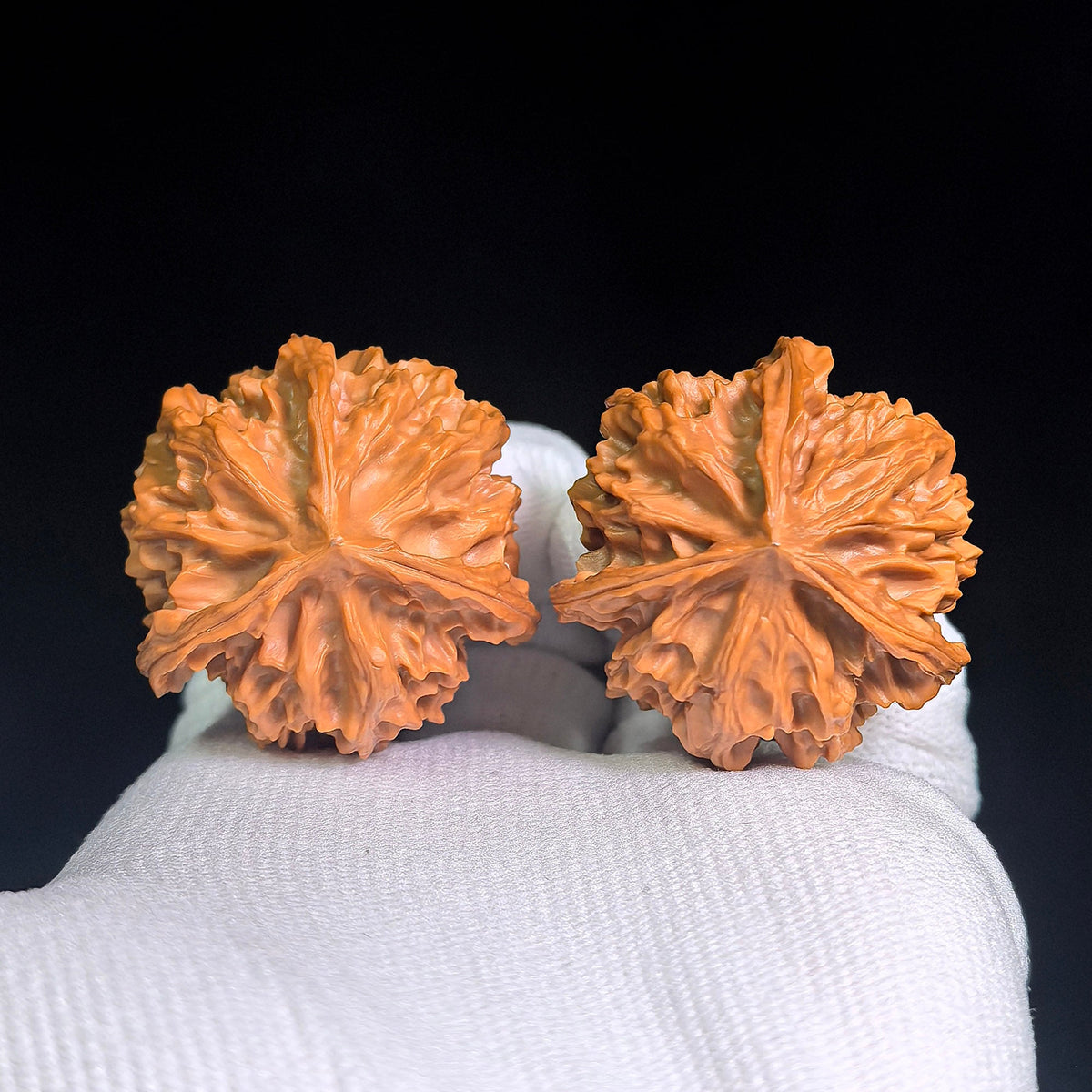 “Qishan Three-Ridge Zhengben” Wine-Cup Concave-Base Wenwan Walnuts Pair | 37.0mm × 37.0mm | QSSN-CWC0E - ThePatinaProject