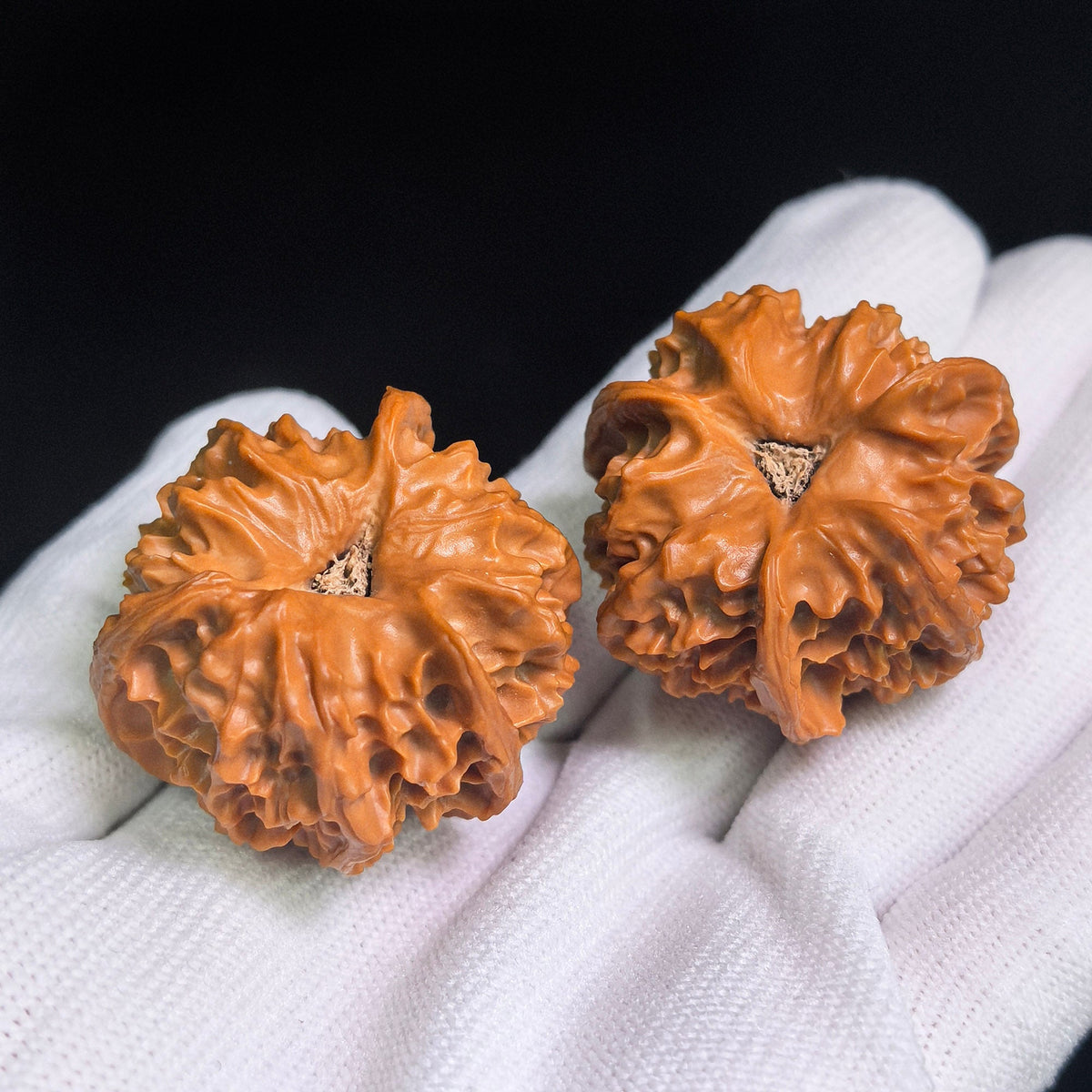 “Qishan Three-Ridge Zhengben” Wine-Cup Concave-Base Wenwan Walnuts Pair | 37.0mm × 37.0mm | QSSN-CWC0E - ThePatinaProject