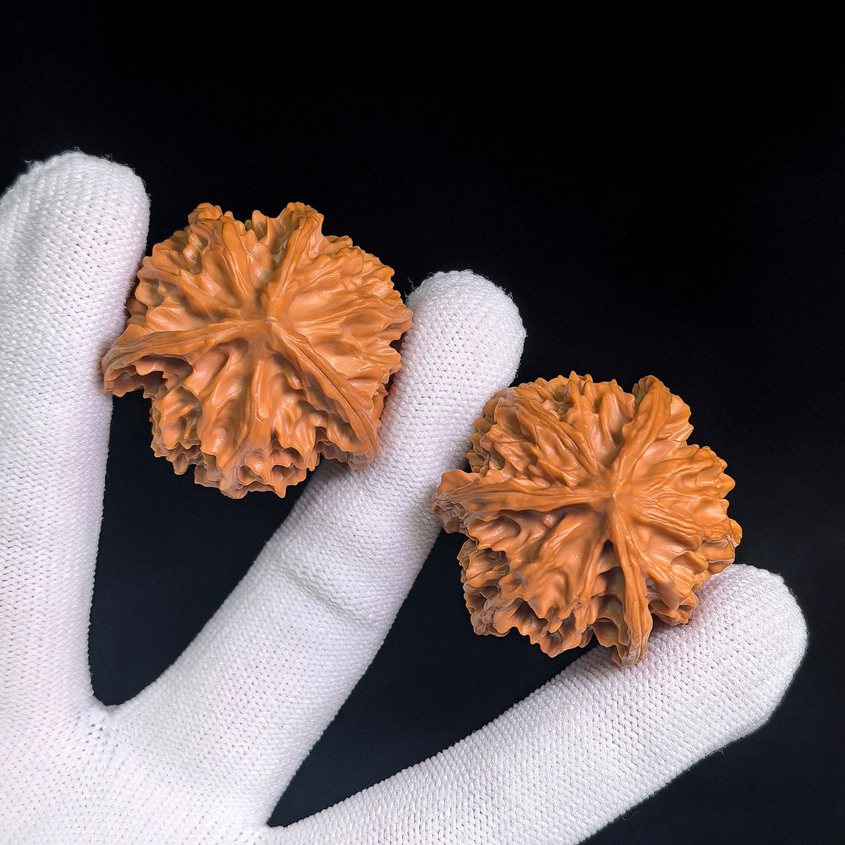 “Qishan Three-Ridge Zhengben” Wine-Cup Concave-Base Wenwan Walnuts Pair | 37.0mm × 37.0mm | QSSN-CWC0E - ThePatinaProject