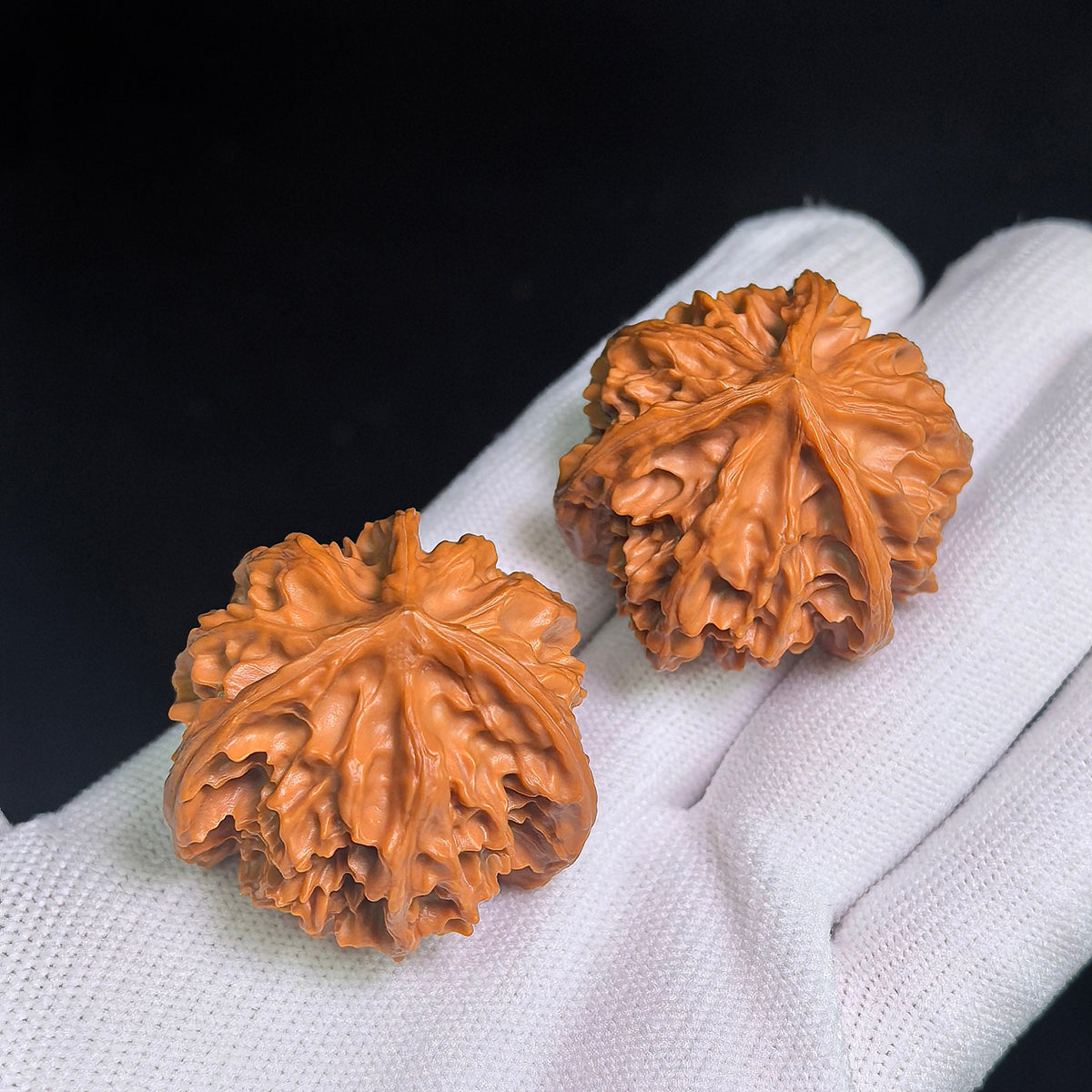“Qishan Three-Ridge Zhengben” Wine-Cup Concave-Base Wenwan Walnuts Pair | 37.0mm × 37.0mm | QSSN-CWC0E - ThePatinaProject