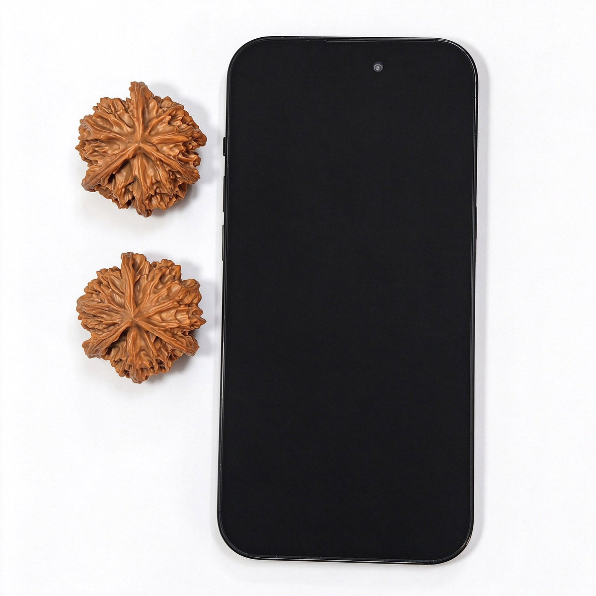 “Qishan Three-Ridge Zhengben” Wine-Cup Concave-Base Wenwan Walnuts Pair | 37.0mm × 37.0mm | QSSN-CWC0E - ThePatinaProject