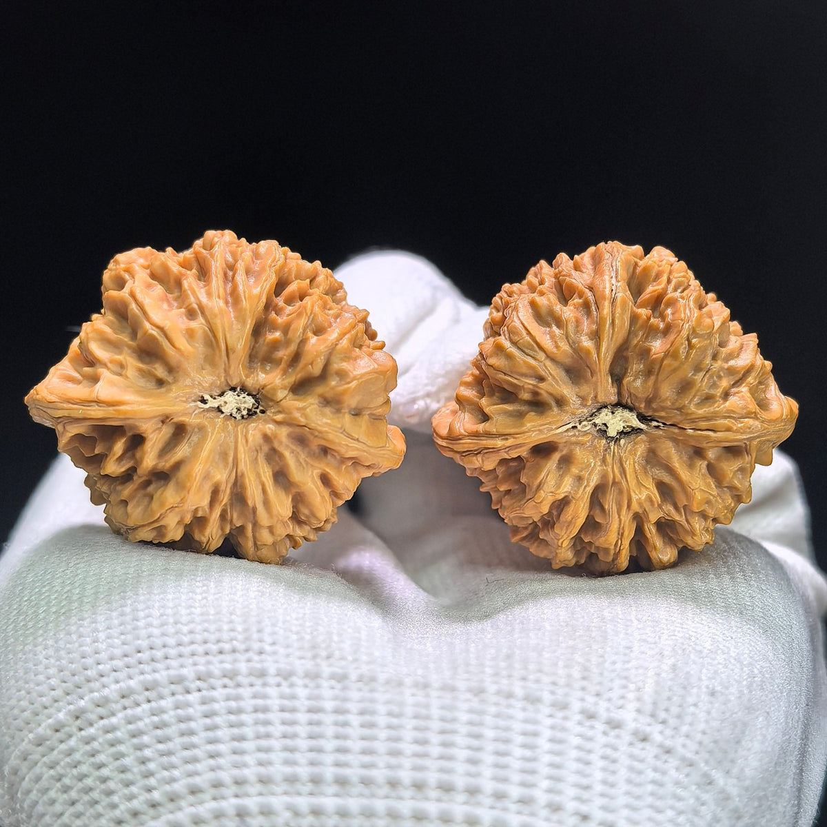 "Rain Flower Pebble" Yuhuashi Classic Low-Profile Wenwan Walnuts Pair | 36.0mm x 33.0mm | YHS-1402 - ThePatinaProject