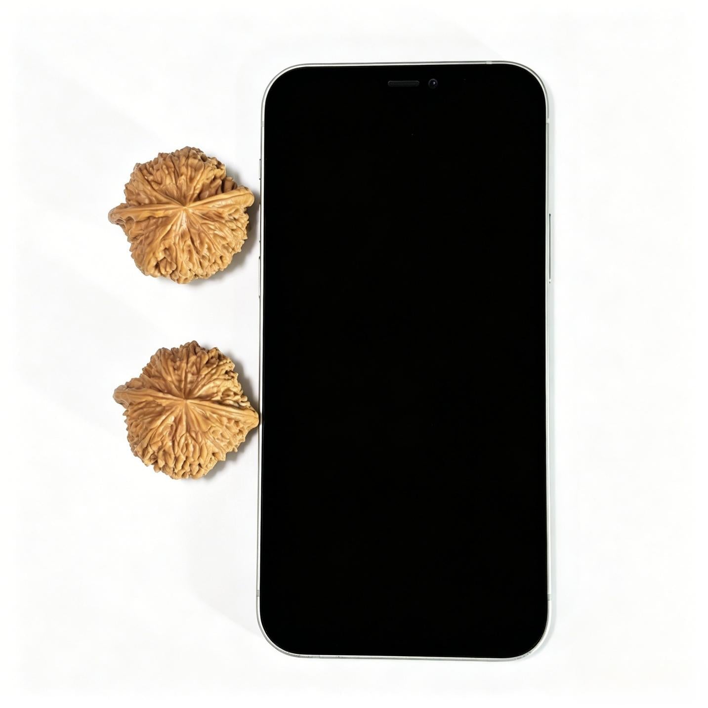 "Rain Flower Pebble" Yuhuashi Classic Low-Profile Wenwan Walnuts Pair | 36.0mm x 33.0mm | YHS-1402 - ThePatinaProject