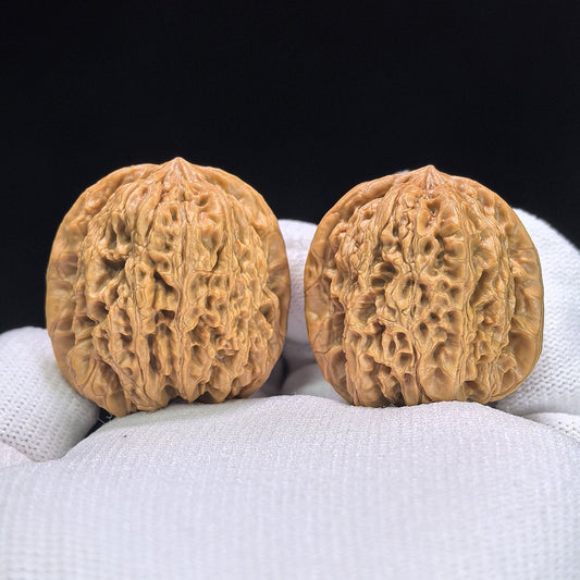 "Rain Flower Stone" Yuhuashi Hand-Twist Shou Nian Wenwan Walnuts (Pair) | 34.0mm x 32.0mm | Stock ID: YHS-1101 - ThePatinaProject