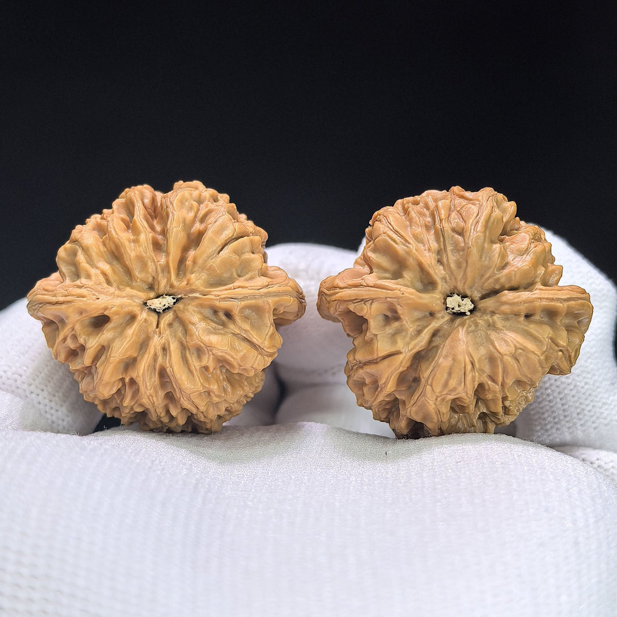 "Rain Flower Stone" Yuhuashi Hand-Twist Shou Nian Wenwan Walnuts (Pair) | 34.0mm x 32.0mm | Stock ID: YHS-1101 - ThePatinaProject
