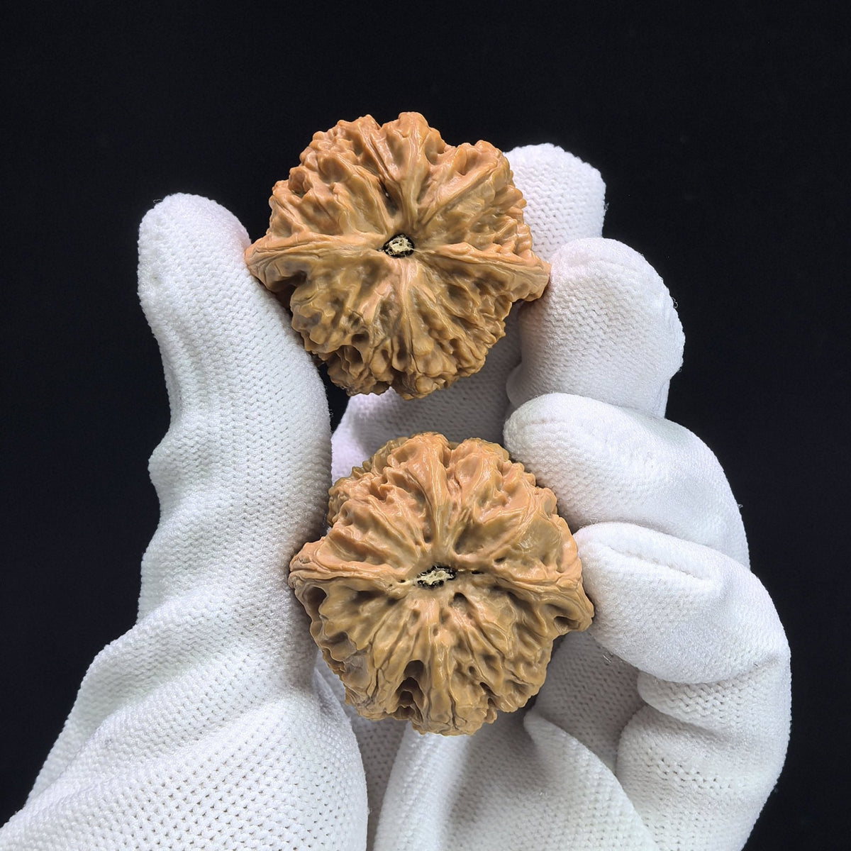"Rain Flower Stone" Yuhuashi Low-Profile Wenwan Walnuts Pair | 34.0mm x 32.0mm | YHS-1103 - ThePatinaProject