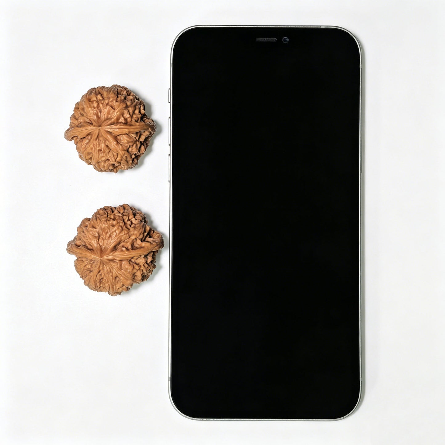 "Rain Flower Stone" Yuhuashi Low-Profile Wenwan Walnuts Pair | 34.0mm x 32.0mm | YHS-1103 - ThePatinaProject