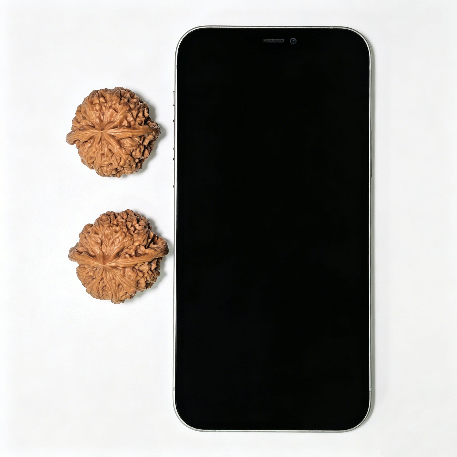 "Rain Flower Stone" Yuhuashi Low-Profile Wenwan Walnuts Pair | 34.0mm x 32.0mm | YHS-1103 - ThePatinaProject