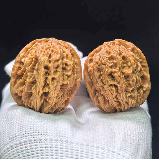 "Rain Flower Stone" Yuhuashi Wenwan Walnuts Pair | 35.0mm x 34.0mm | YHS-1401 - ThePatinaProject
