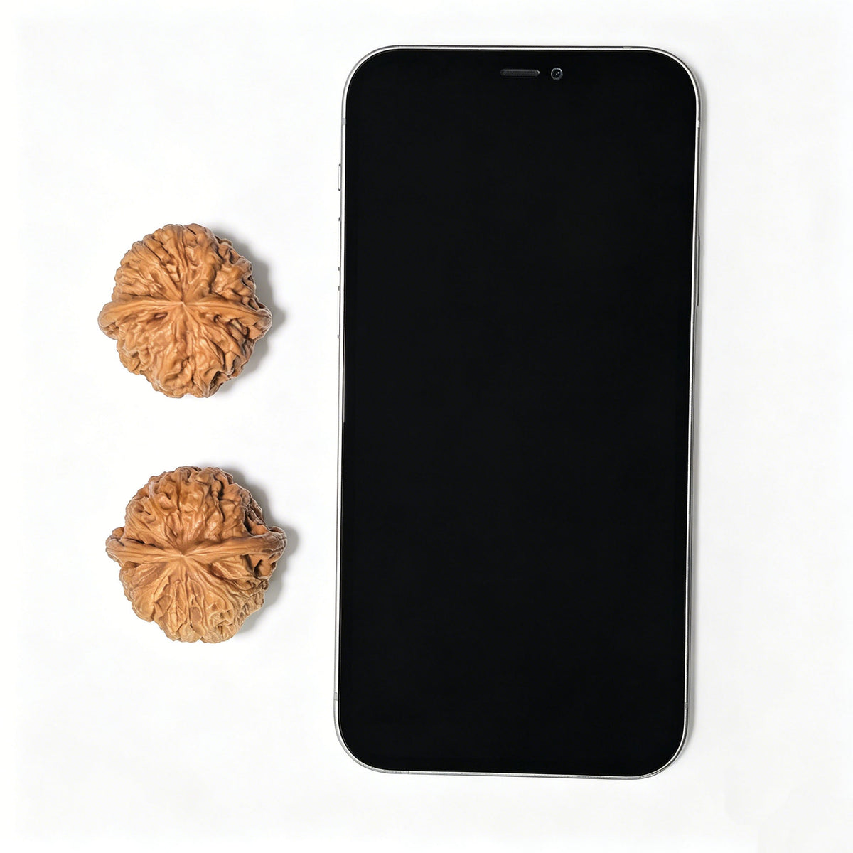 "Rain Flower Stone" Yuhuashi YHS-1106 Low-Profile Wenwan Walnuts Pair | 34.0mm x 34.0mm | YHS-1106 - ThePatinaProject
