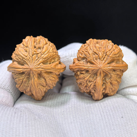 "Rainflower Stone Three-Ribbed" Yuhuashi Sanleng Multi-Ribbed Wenwan Walnuts Pair | 31.0mm x 34.0mm | YHSSN-C222E - ThePatinaProject