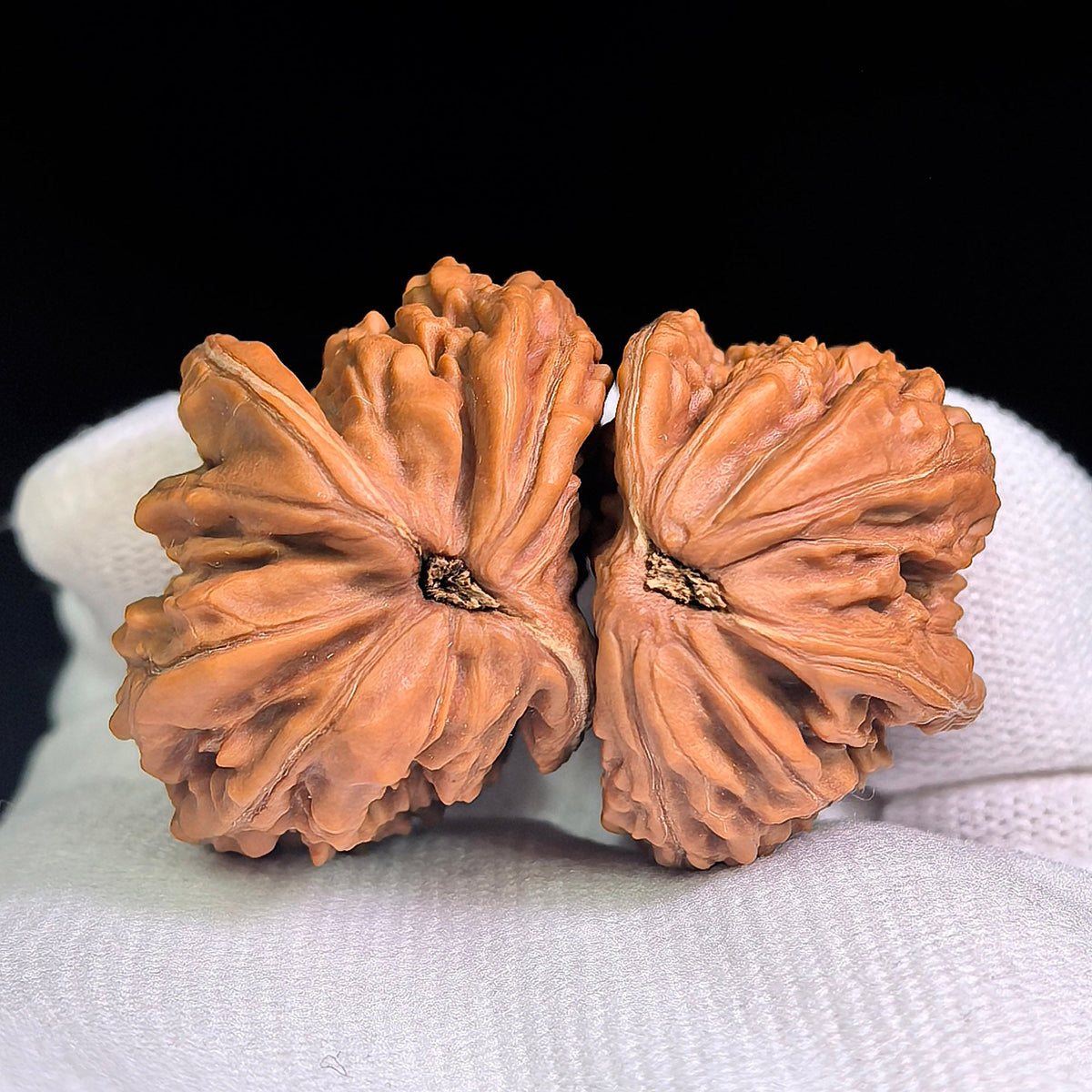Rare "Sizuolou" Half-Wall (Ban Bi) Ergonomic Pair | Mixed Sizing | Walnut Pair | SZLBB-1201E - ThePatinaProject