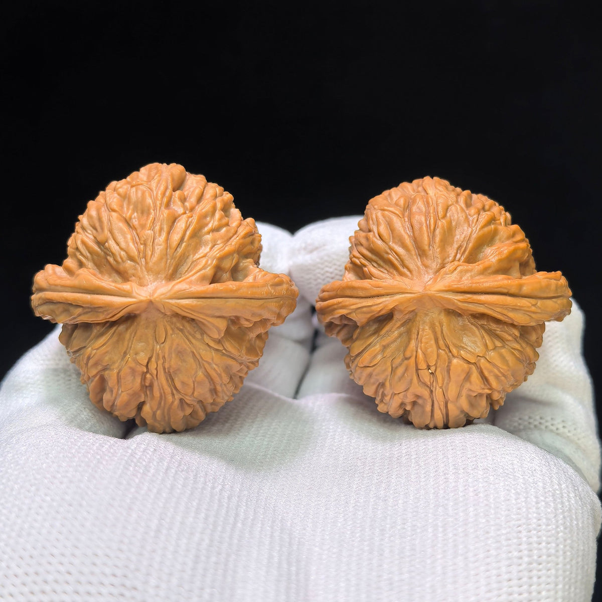 "Recessed Apex Spherical White Lion" Menjian Qiuxing Baishizi Low-Profile Wenwan Walnuts Pair | 39.0mm x 39.0mm | BSJ-1505C - ThePatinaProject