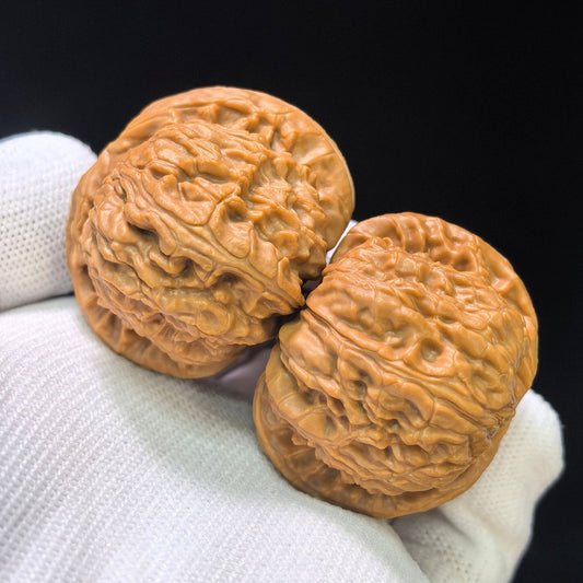 "Recessed Apex Spherical White Lion" Menjian Qiuxing Baishizi Low-Profile Wenwan Walnuts Pair | 39.0mm x 39.0mm | BSJ-1505C - ThePatinaProject