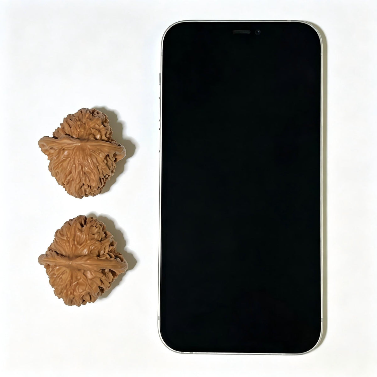 Red Cross Lion Head (Hong Shi Zi) Wenwan Walnuts | 37.0mm x 39.0mm | HSZ-1102 - ThePatinaProject