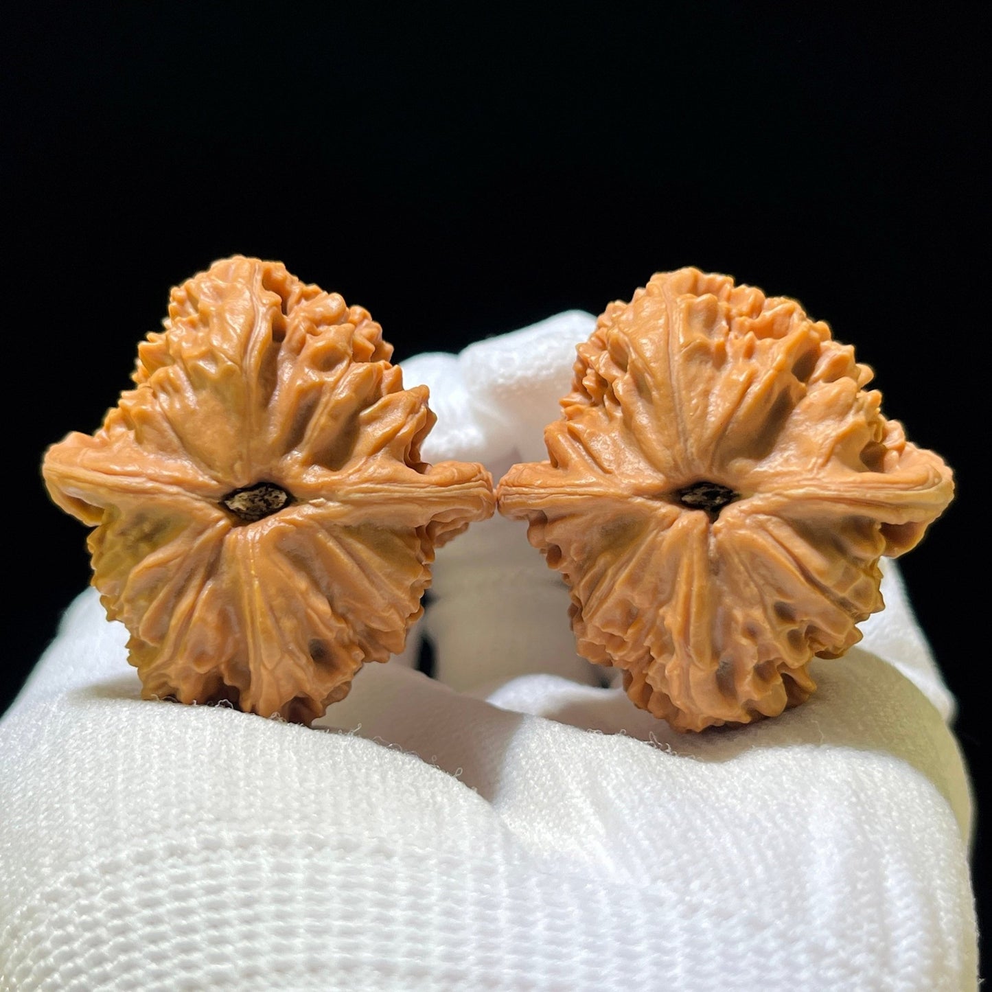 Red Cross Lion Head (Hong Shi Zi) Wenwan Walnuts | 37.0mm x 39.0mm | HSZ-1102 - ThePatinaProject