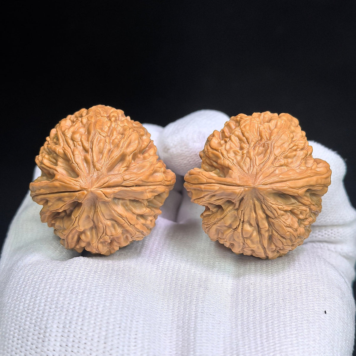 "Red Koi / Hong Jin Li" Heirloom Collection Wenwan Walnuts Pair | 38.0mm x 39.0mm | HJL-1501C - ThePatinaProject