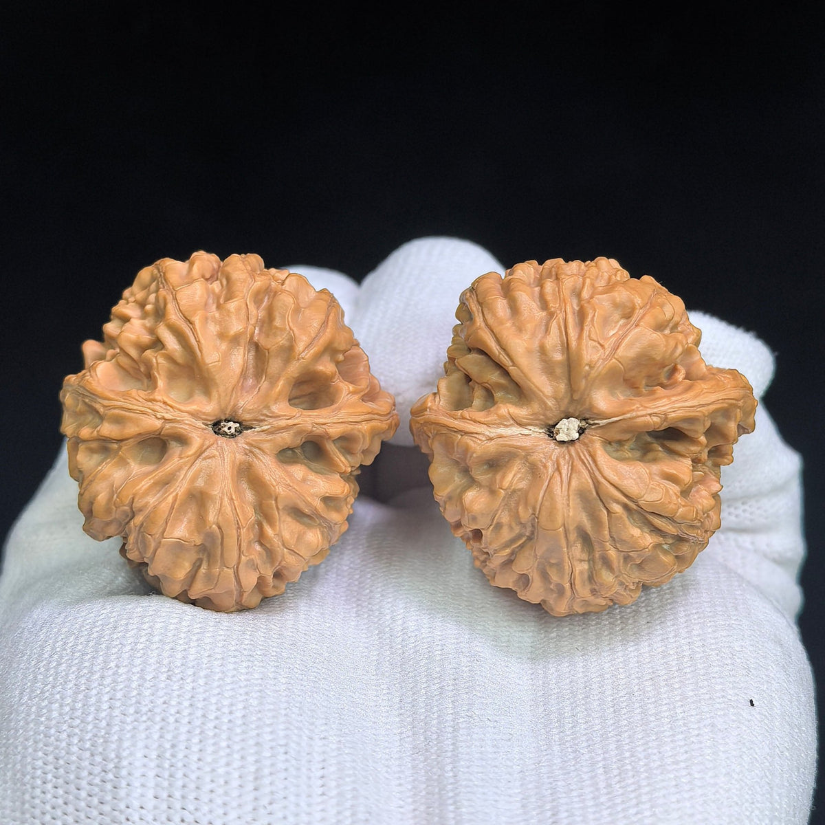 "Red Koi / Hong Jin Li" Heirloom Collection Wenwan Walnuts Pair | 38.0mm x 39.0mm | HJL-1501C - ThePatinaProject