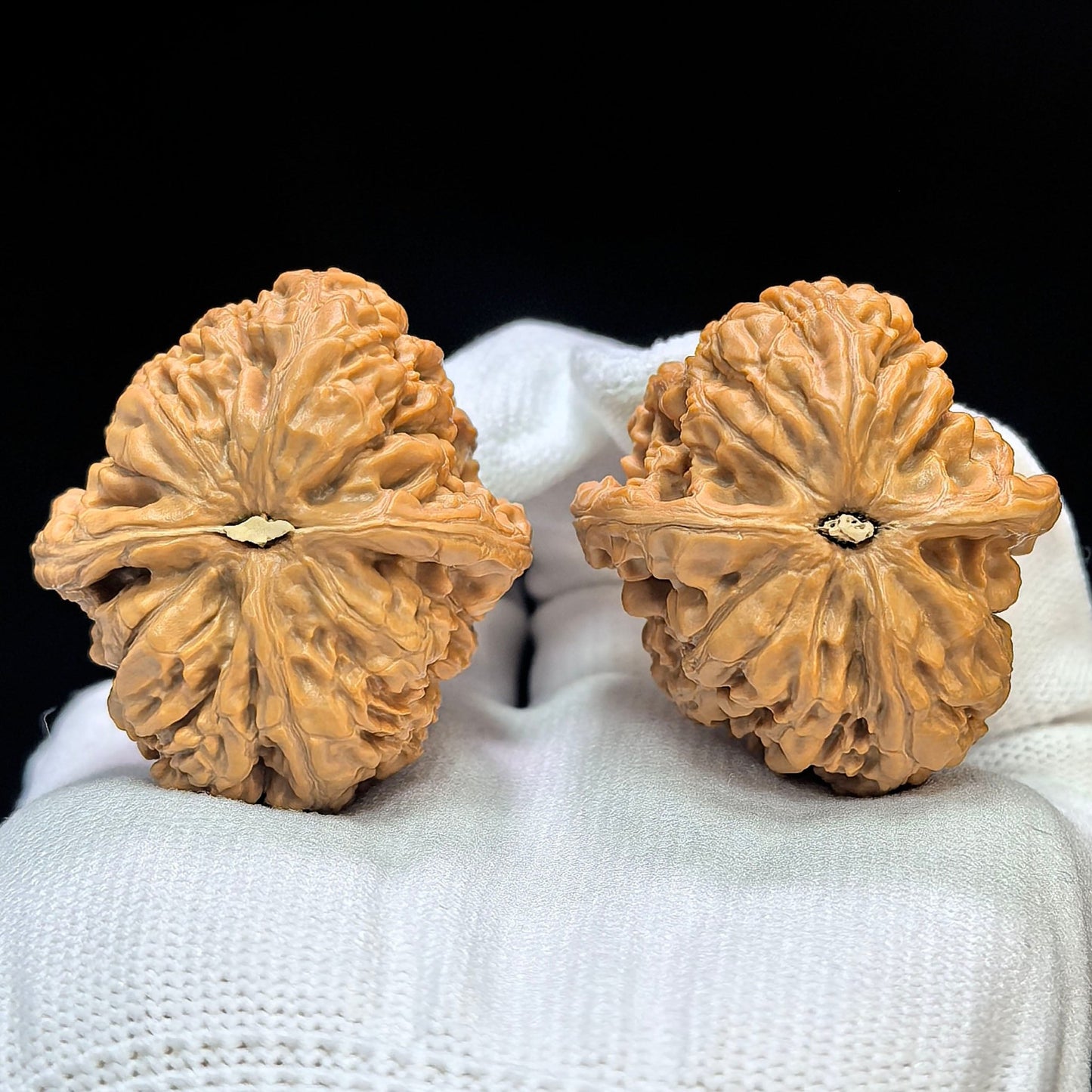 "Red Koi" Hongjinli Low-Profile Wenwan Walnuts Pair | 37.0mm x 40.0mm | HJL-1502C - ThePatinaProject