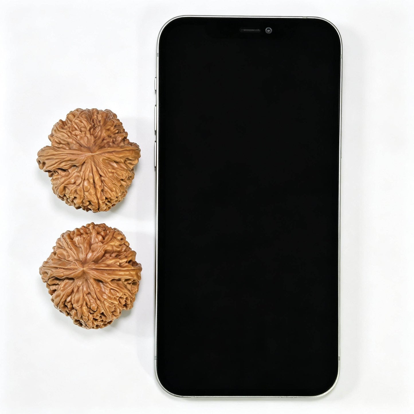 "Red Koi" Hongjinli Low-Profile Wenwan Walnuts Pair | 38.0mm x 39.0mm | HJL-1501C - ThePatinaProject