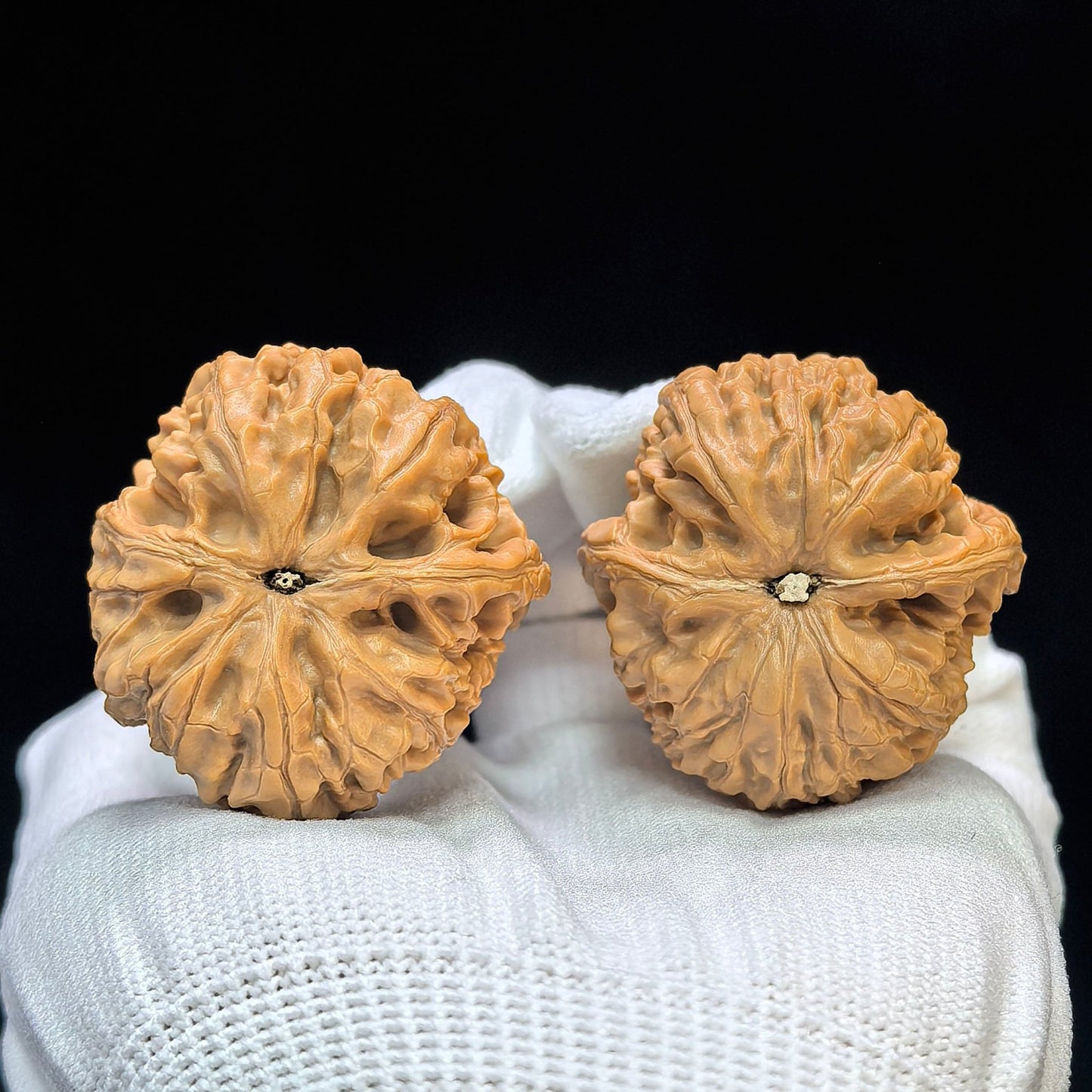 "Red Koi" Hongjinli Low-Profile Wenwan Walnuts Pair | 38.0mm x 39.0mm | HJL-1501C - ThePatinaProject