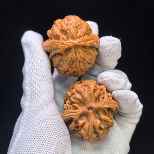 "Red Koi" Hongjinli Wenwan Walnuts Pair | 40.0mm x 42.0mm | HJL-1551C - ThePatinaProject