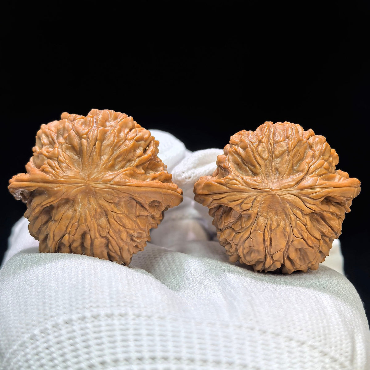 "Red Shell Millstone / Hong Ke Mo Pan" Heirloom Collection Wenwan Walnuts Pair | 39.0mm x 36.0mm | MP-1608 - ThePatinaProject